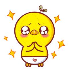 张家口中医院的专家坐诊表,张家口第一医院北京专家坐诊时间