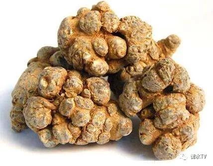 纯正文山三七粉每日一元限量体验,三七粉特价