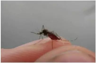 药店里几毛钱的药膏，竟能缓解治疗12种常见病痛！不看亏大啦~