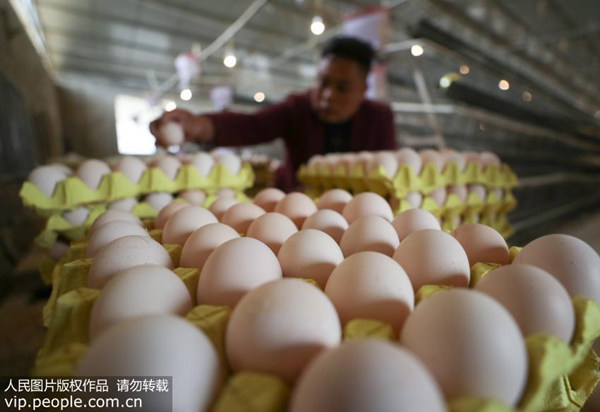 卤蛋和溏心蛋哪个营养更高,溏心蛋有营养吗孕妇吃