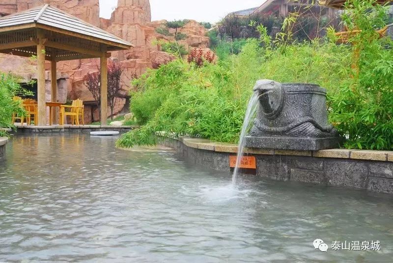 泰山温泉门票多少钱,泰山森林温泉门票
