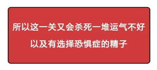 一直以为自己是跑得最快的那颗精子，原来并不是……