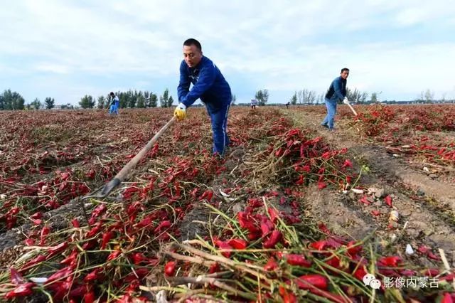 惊艳时光的内蒙古,内蒙古精彩