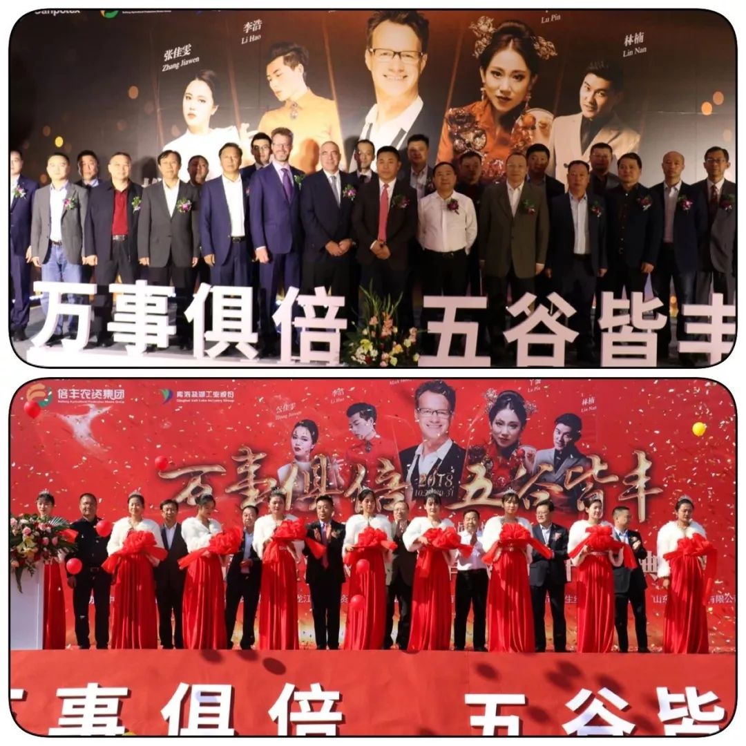 鍊嶄赴澶嶅悎鑲ユ枡,鍊嶄赴鐩愭箹鍐滀笟绉戞妧鑲′唤鏈夐檺鍏徃