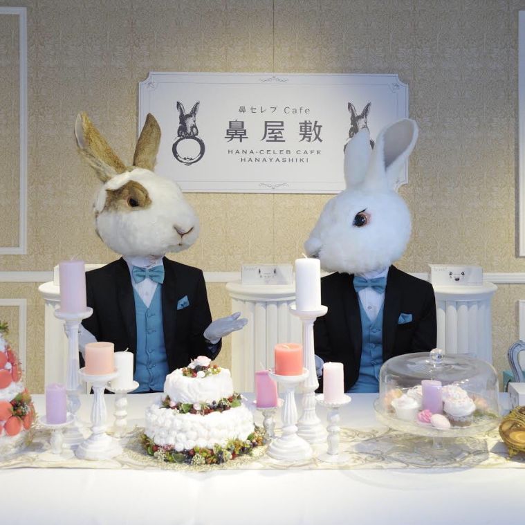 日本治疗鼻炎神药,日本治鼻炎的最佳方法