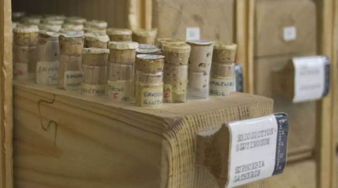 皮肤出现3个迹象暗示癌症,皮肤出现四种信号