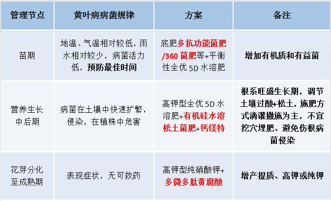 湛江香蕉黄叶病防治,农药巴斯特治疗香蕉黄叶病