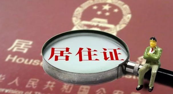 何必“双十一”后剁手！金普新区0元生活指南新鲜出炉，必须人手一份！