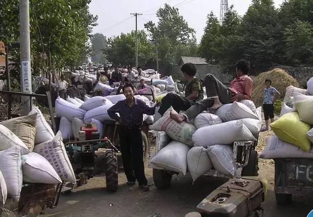 80年代交公粮真实情景视频,回忆三十多年前交公粮的情景