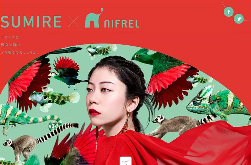 behance设计精选的视频,怎么看behance和其他设计网站