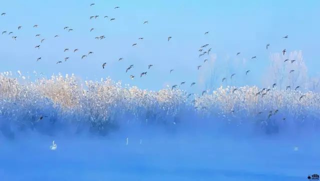 杭州特价机票购买攻略,杭州机票优惠团购