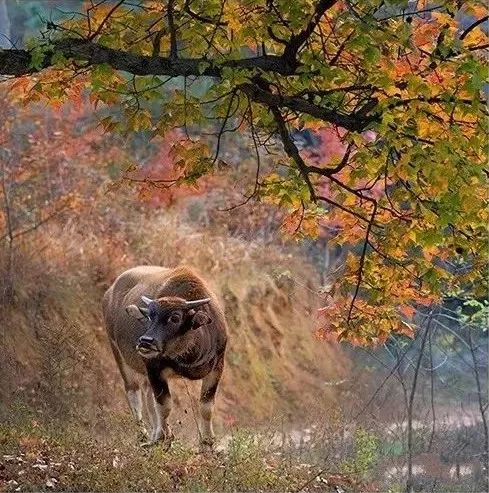 杭州特价机票购买攻略,杭州机票优惠团购