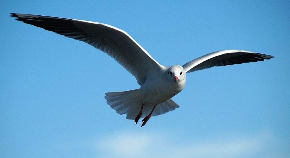 海洋生产总值2016,2022年海洋经济生产总值情况