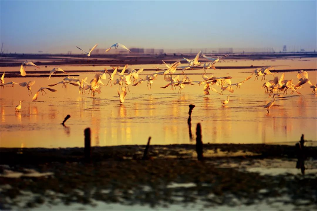 海洋生产总值2016,2022年海洋经济生产总值情况