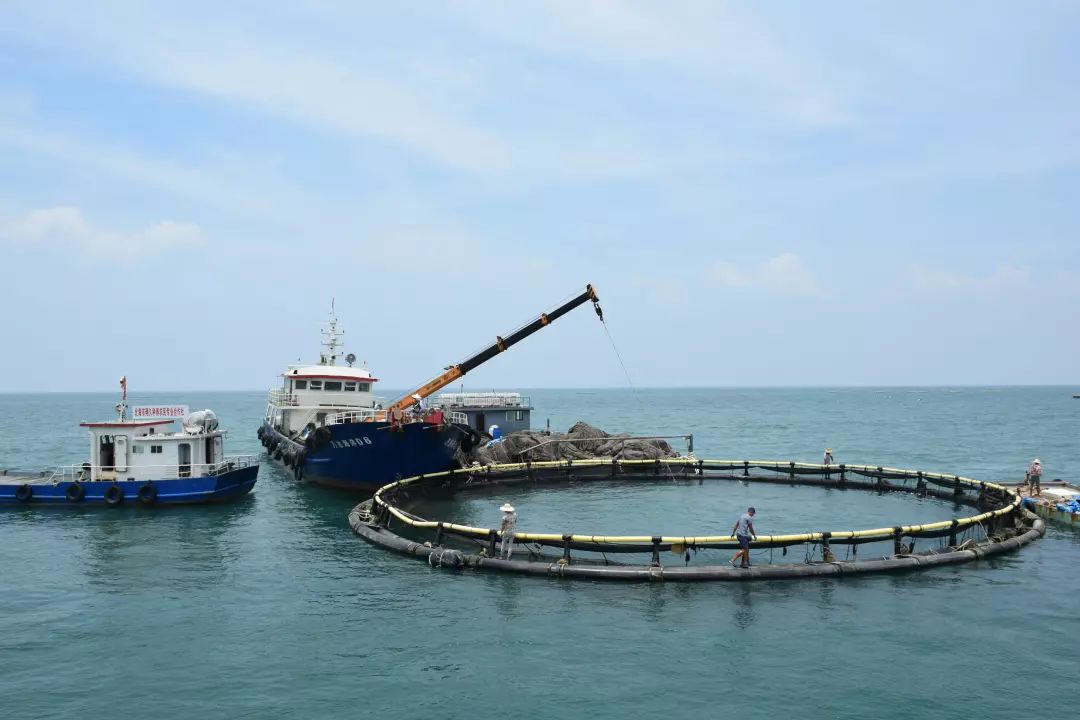 海洋生产总值2016,2022年海洋经济生产总值情况