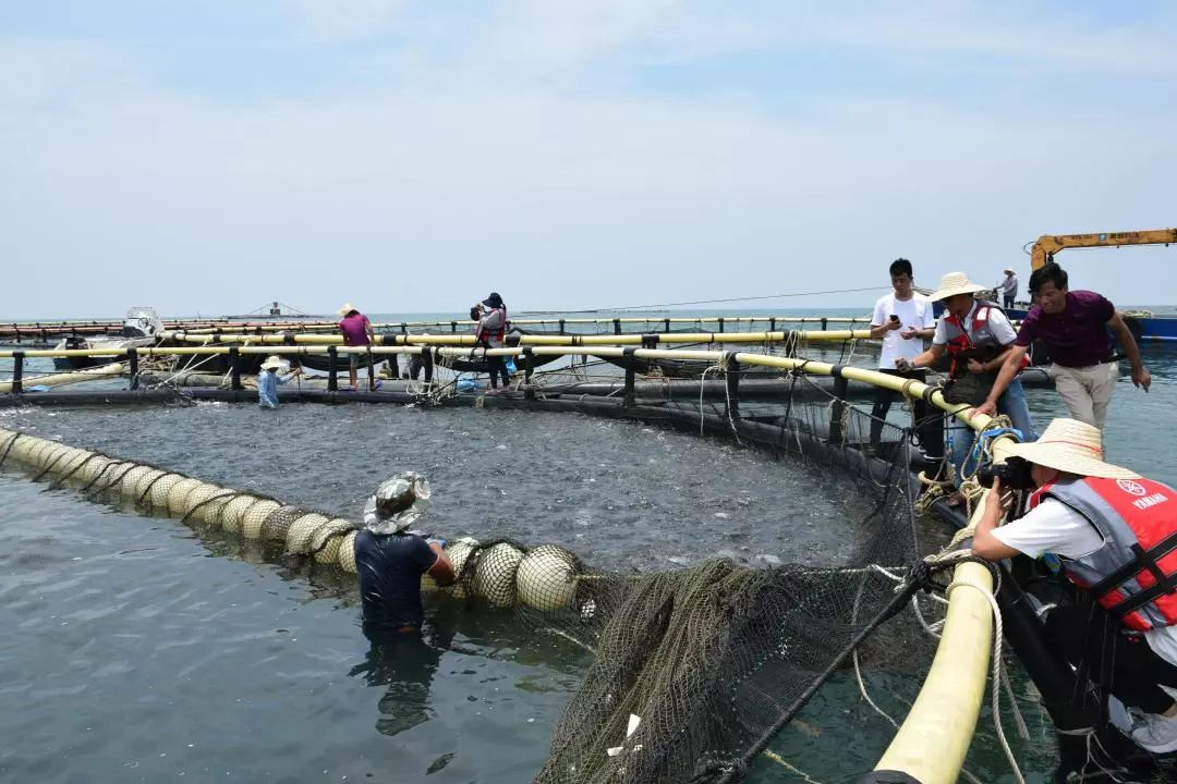 海洋生产总值2016,2022年海洋经济生产总值情况