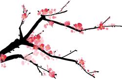 养生，你选对了么？