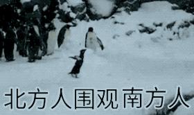 广东下雪之旅,广东下雪是什么体验