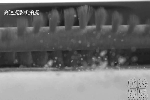 最全最有效去除家里的螨虫方法,家里螨虫怎样能彻底清除