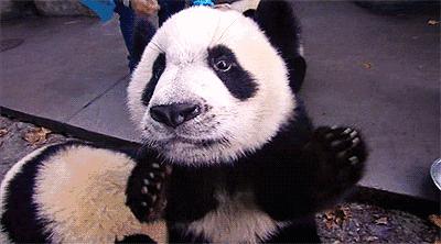 成都有一千种样子，我挑了其中的四种给你