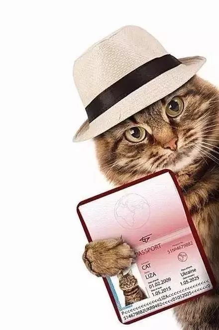 护照提醒,护照提示过期