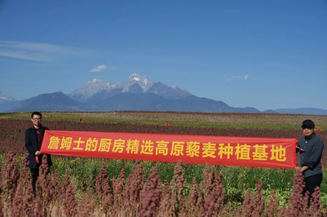 藜麦——碧昂斯靠它瘦了50斤的超级食物！｜双11砍价大优惠