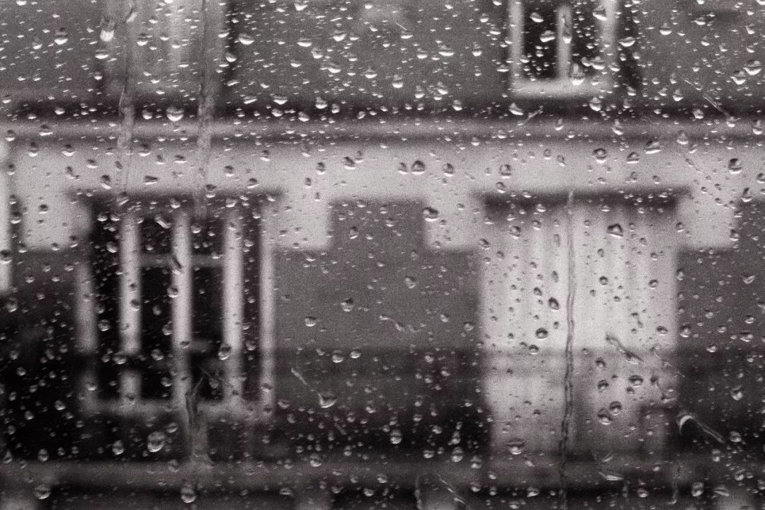 蒲地蓝神药,蒲地蓝消炎片神药