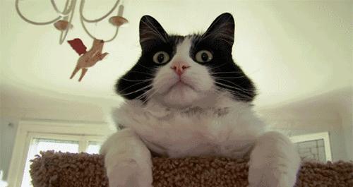 往鞋里抹点这个，走路再久都不累！聪明的人都这样做