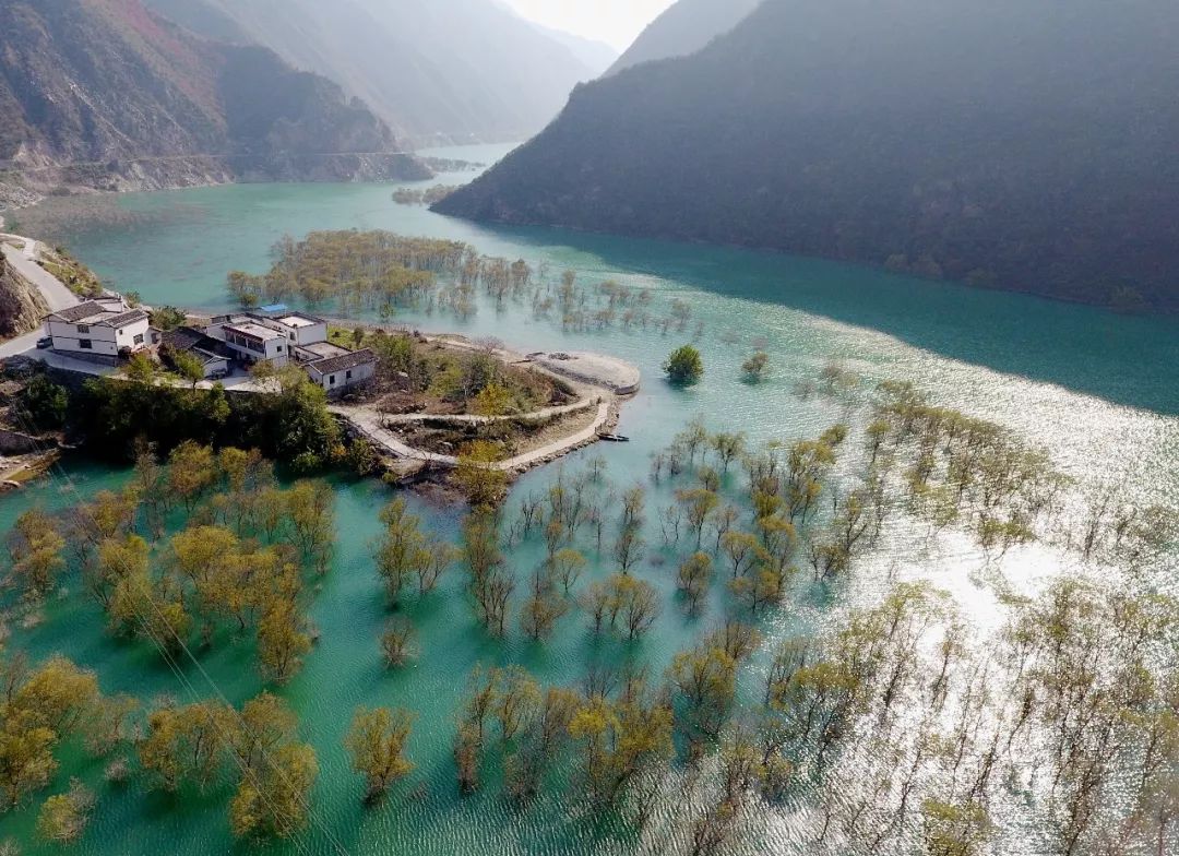 文县在哪里啊,现在的文县