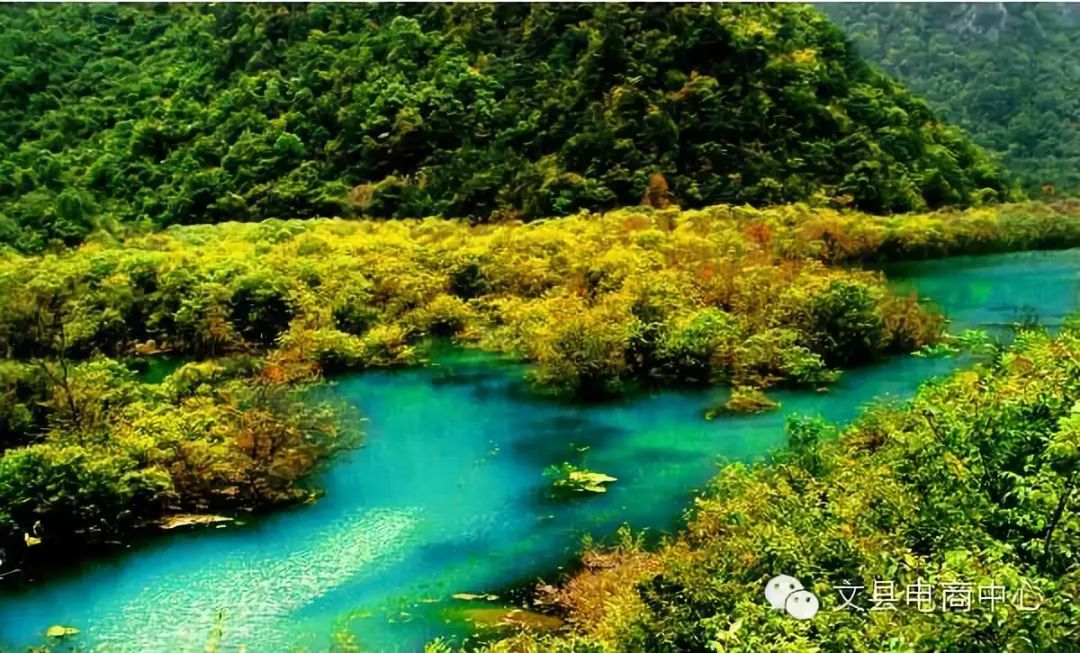 文县在哪里啊,现在的文县