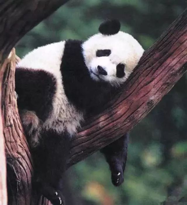 文县在哪里啊,现在的文县