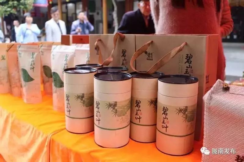 文县在哪里啊,现在的文县