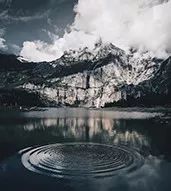 广州酒店大螃蟹帝王蟹,五星级酒店怎么吃大闸蟹