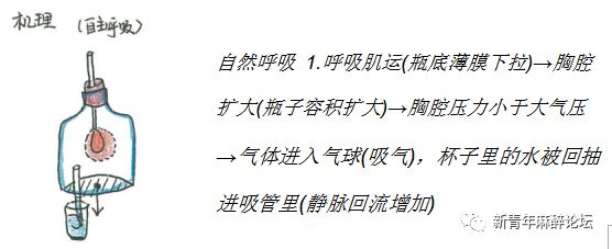 呼吸科普类视频制作,科普人体呼吸机制