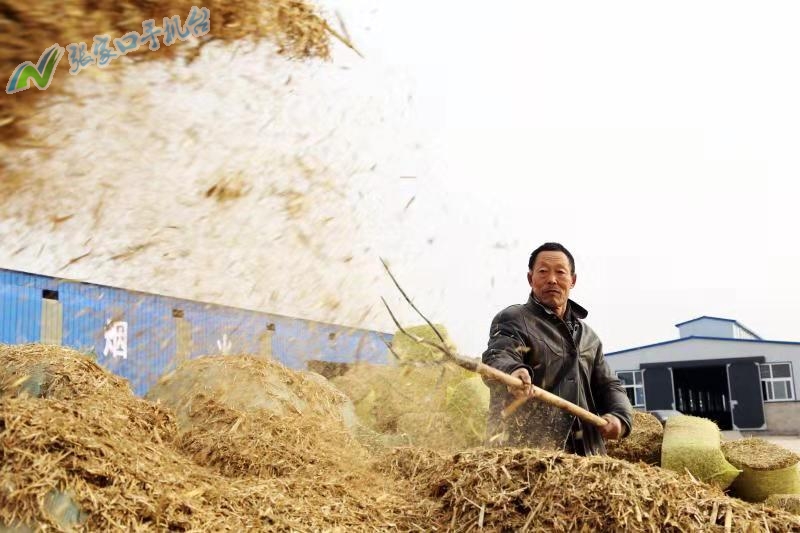 驴脱贫致富新路径,脱贫攻坚养殖致富新门路
