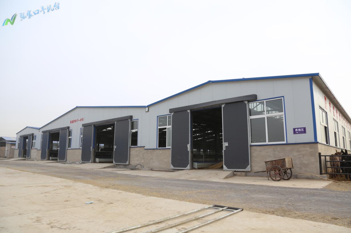 驴脱贫致富新路径,脱贫攻坚养殖致富新门路