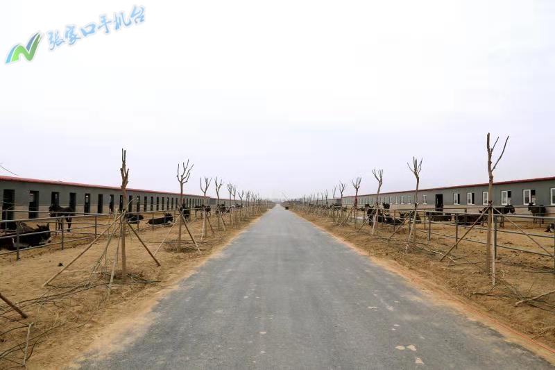 驴脱贫致富新路径,脱贫攻坚养殖致富新门路