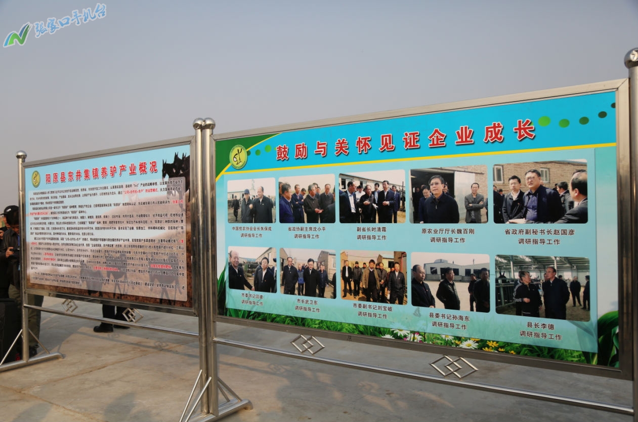 驴脱贫致富新路径,脱贫攻坚养殖致富新门路