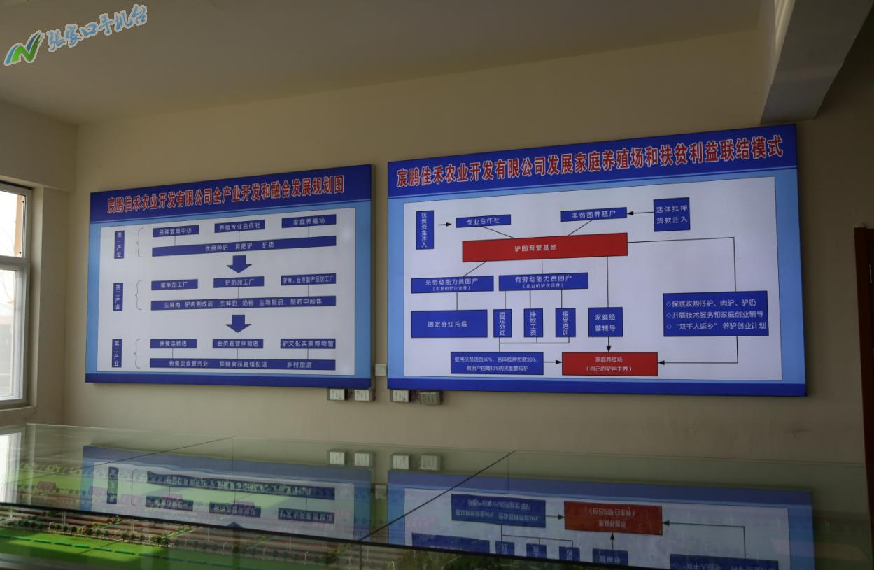 驴脱贫致富新路径,脱贫攻坚养殖致富新门路