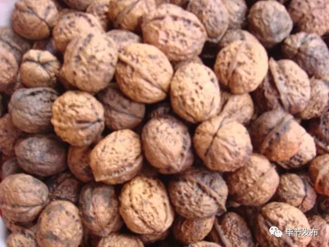 双11”CCTV2大直播，赫章县委书记将推介赫章农特产品