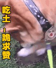 江西人警惕收到这类短信千万别点,江西人警惕这几种电话千万别接