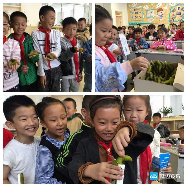 蚕宝成长记绘本,蚕宝成长记二年级