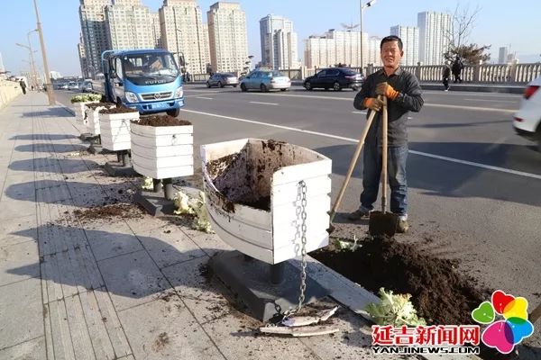 延吉街头鲜花被偷留下刺眼的“伤疤”