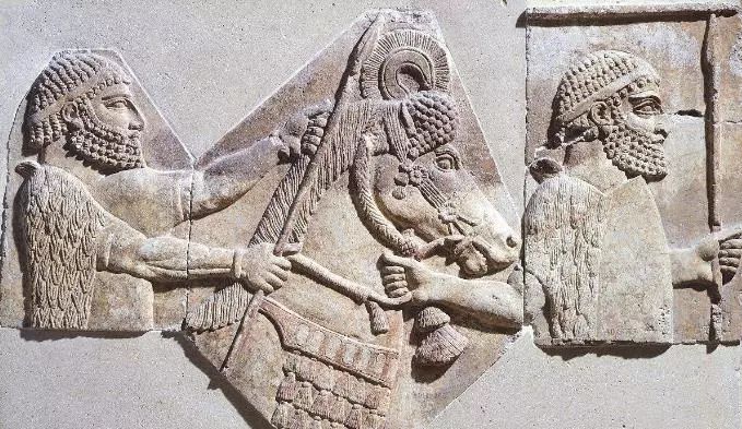 古代文明的起源及类型：有点讽刺，文明始于奴役及不平等