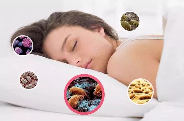 电吹风导致头发干枯、分叉？有了这个微米级日本干发帽，不伤发不掉毛，3分钟头发就干了