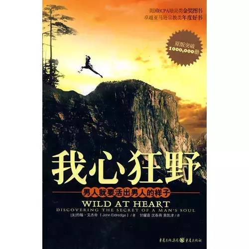 推荐入门基督徒的书,推荐几本能了解基督的书