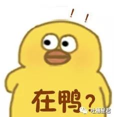 “亲，我们厂家名叫韩国代购呢”……双11后网友与客服爆笑聊天来袭！