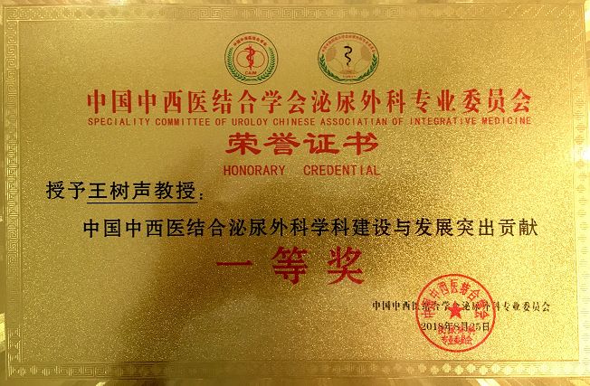 省中医人｜王树声教授获CUA（中华医学会）泌尿外科结石领域最高奖——“钻石奖”