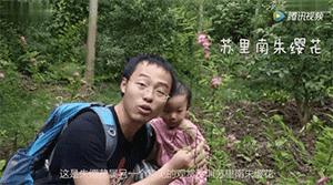 双12给宝宝囤的宝宝用品,双12宝宝必买清单