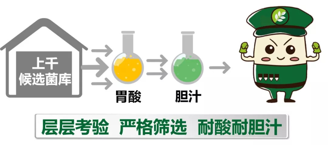益生菌之类的保健品是不是忽悠人,被妖魔化的益生菌到底有没有效